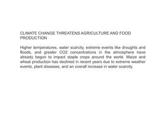 CLIMATE CHANGE THREATENS AGRICULTURE AND FOOD
PRODUCTION
Higher temperatures, water scarcity, extreme events like droughts and
floods, and greater CO2 concentrations in the atmosphere have
already begun to impact staple crops around the world. Maize and
wheat production has declined in recent years due to extreme weather
events, plant diseases, and an overall increase in water scarcity.
 