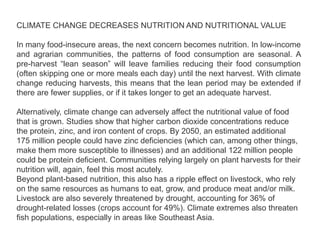 CLIMATE CHANGE DECREASES NUTRITION AND NUTRITIONAL VALUE
In many food-insecure areas, the next concern becomes nutrition. In low-income
and agrarian communities, the patterns of food consumption are seasonal. A
pre-harvest “lean season” will leave families reducing their food consumption
(often skipping one or more meals each day) until the next harvest. With climate
change reducing harvests, this means that the lean period may be extended if
there are fewer supplies, or if it takes longer to get an adequate harvest.
Alternatively, climate change can adversely affect the nutritional value of food
that is grown. Studies show that higher carbon dioxide concentrations reduce
the protein, zinc, and iron content of crops. By 2050, an estimated additional
175 million people could have zinc deficiencies (which can, among other things,
make them more susceptible to illnesses) and an additional 122 million people
could be protein deficient. Communities relying largely on plant harvests for their
nutrition will, again, feel this most acutely.
Beyond plant-based nutrition, this also has a ripple effect on livestock, who rely
on the same resources as humans to eat, grow, and produce meat and/or milk.
Livestock are also severely threatened by drought, accounting for 36% of
drought-related losses (crops account for 49%). Climate extremes also threaten
fish populations, especially in areas like Southeast Asia.
 