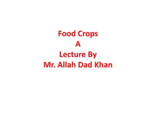 Food Crops
A
Lecture By
Mr. Allah Dad Khan
 