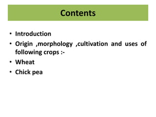 Contents
• Introduction
• Origin ,morphology ,cultivation and uses of
following crops :-
• Wheat
• Chick pea
 