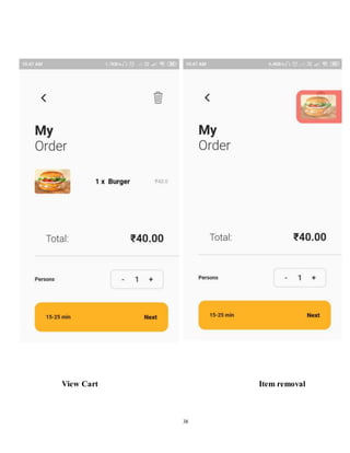 Food delivery application report