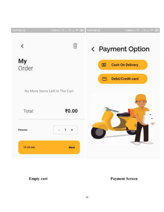Food delivery application report
