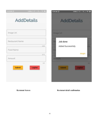 Food delivery application report