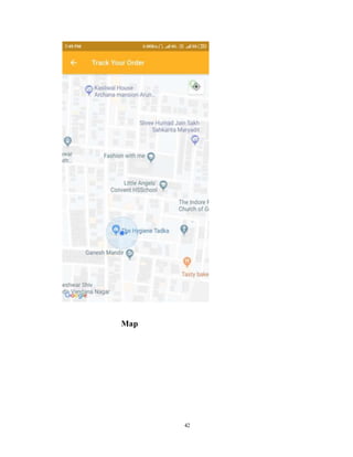 Food delivery application report