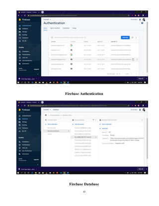 Food delivery application report