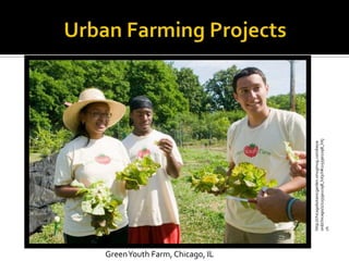 Green Youth Farm, Chicago, IL




                                http://chicagobotanicgarden.smugmug.com/keyw
                                ord/chicago/1/1155902298_hXjch#1155902298_hXj
                                ch
 