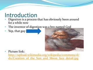 Introduction• Digestion is a process that has obviously been around
for a while now
• The inventor of digestion was a bro named God
• Yep, that guy
• Picture link:
http://upload.wikimedia.org/wikipedia/commons/d/
d0/Creation_of_the_Sun_and_Moon_face_detail.jpg
 