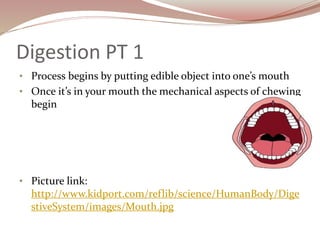 Digestion PT 1
• Process begins by putting edible object into one’s mouth
• Once it’s in your mouth the mechanical aspects of chewing
begin
• Picture link:
http://www.kidport.com/reflib/science/HumanBody/Dige
stiveSystem/images/Mouth.jpg
 