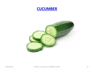 CUCUMBER
06/02/2016 14MTRA. R. M. JULIETA GUTIÉRREZ TLALPA
 
