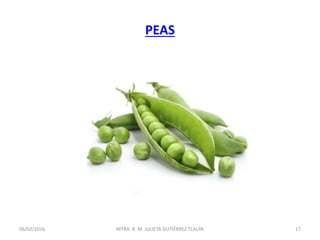 PEAS
06/02/2016 17MTRA. R. M. JULIETA GUTIÉRREZ TLALPA
 