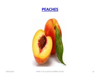 PEACHES
06/02/2016 18MTRA. R. M. JULIETA GUTIÉRREZ TLALPA
 