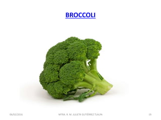 BROCCOLI
06/02/2016 19MTRA. R. M. JULIETA GUTIÉRREZ TLALPA
 