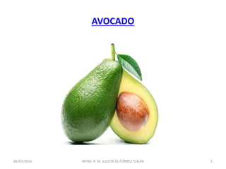 AVOCADO
06/02/2016 2MTRA. R. M. JULIETA GUTIÉRREZ TLALPA
 