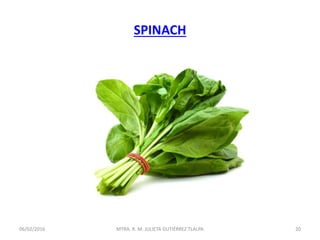 SPINACH
06/02/2016 20MTRA. R. M. JULIETA GUTIÉRREZ TLALPA
 