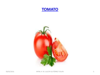 TOMATO
06/02/2016 3MTRA. R. M. JULIETA GUTIÉRREZ TLALPA
 