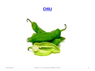 CHILI
06/02/2016 6MTRA. R. M. JULIETA GUTIÉRREZ TLALPA
 