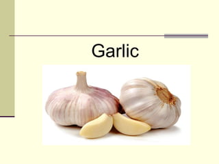 Garlic
 
