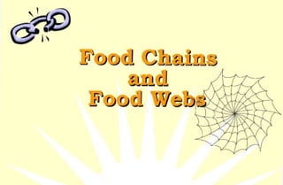 Food Ecosystems.pdf