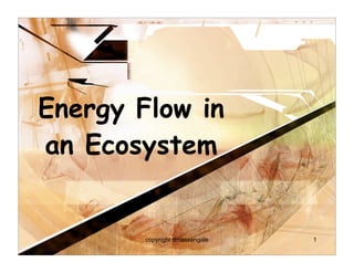 Energy Flow in
an Ecosystem


        copyright cmassengale   1
 