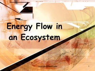 Energy Flow in an Ecosystem copyright cmassengale 