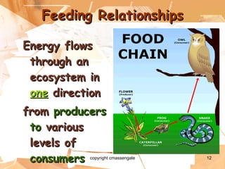 Feeding Relationships Energy flows through an ecosystem in  one  direction from  producers to  various levels of  consumers copyright cmassengale 