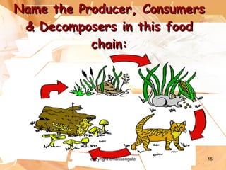 Name the Producer, Consumers & Decomposers in this food chain: copyright cmassengale 