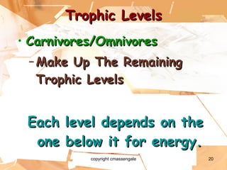 Trophic Levels Carnivores/Omnivores Make Up The Remaining Trophic Levels Each level depends on the one below it for energy. copyright cmassengale 