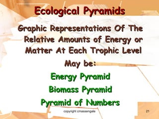 Ecological Pyramids Graphic Representations Of The Relative Amounts of Energy or Matter At Each Trophic Level May be: Energy Pyramid Biomass Pyramid Pyramid of Numbers copyright cmassengale 