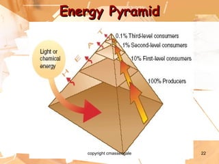 Energy Pyramid copyright cmassengale 