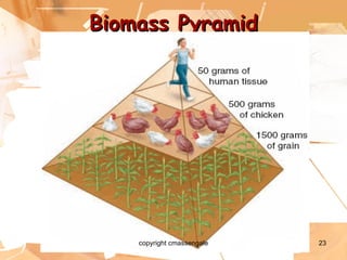 Biomass Pyramid copyright cmassengale 