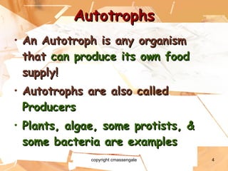 Autotrophs An Autotroph is any organism that  can produce its own food  supply! Autotrophs are also called  Producers Plants, algae, some protists, & some bacteria are examples copyright cmassengale 
