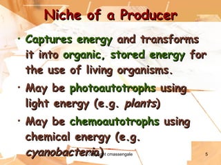 Niche of a Producer Captures energy  and transforms it into  organic, stored energy  for the use of living organisms. May be  photoautotrophs  using light energy (e.g.  plants ) May be  chemoautotrophs  using chemical energy (e.g.  cyanobacteri a) copyright cmassengale 