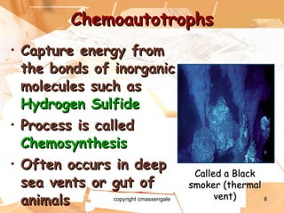 Chemoautotrophs Capture energy from the bonds of inorganic molecules such as  Hydrogen Sulfide Process is called  Chemosynthesis Often occurs in deep sea vents or gut of animals Called a Black smoker (thermal vent) copyright cmassengale 