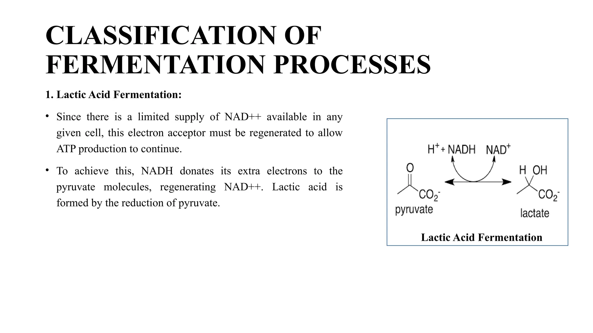 Fermentation visual data 3
