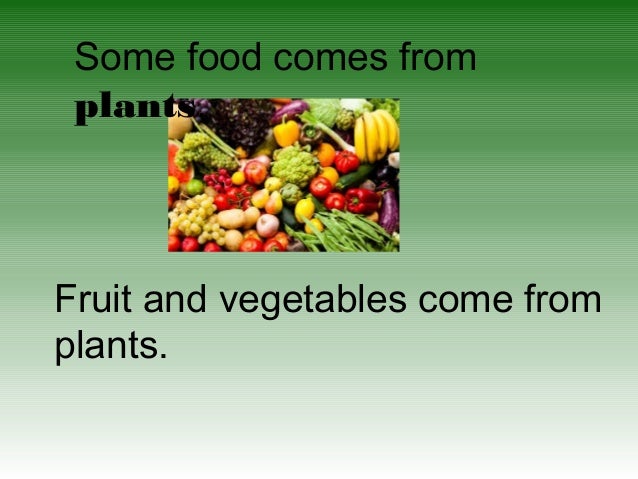 FOOD