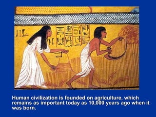 Human civilization is founded on agriculture, which
remains as important today as 10,000 years ago when it
was born.
 