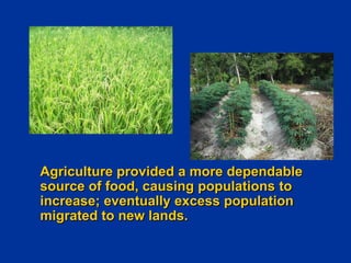 Agriculture provided a more dependable
source of food, causing populations to
increase; eventually excess population
migra...