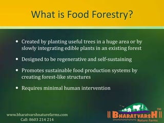 Food Forest and its benefits.pptx