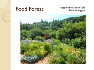 Food Forest Reggio Emilia, Marzo 2015
Elena Parmiggiani
 