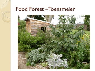 Food Forest –Toensmeier
 