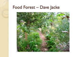 Food Forest – Dave Jacke
 