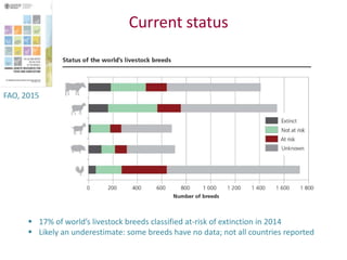 Safeguarding livestock genetic diversity