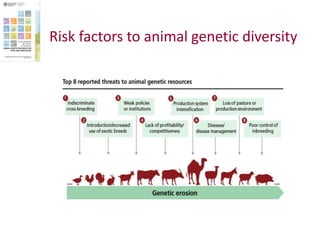 Safeguarding livestock genetic diversity