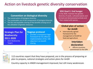 Safeguarding livestock genetic diversity