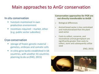 Safeguarding livestock genetic diversity