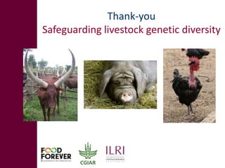 Safeguarding livestock genetic diversity
