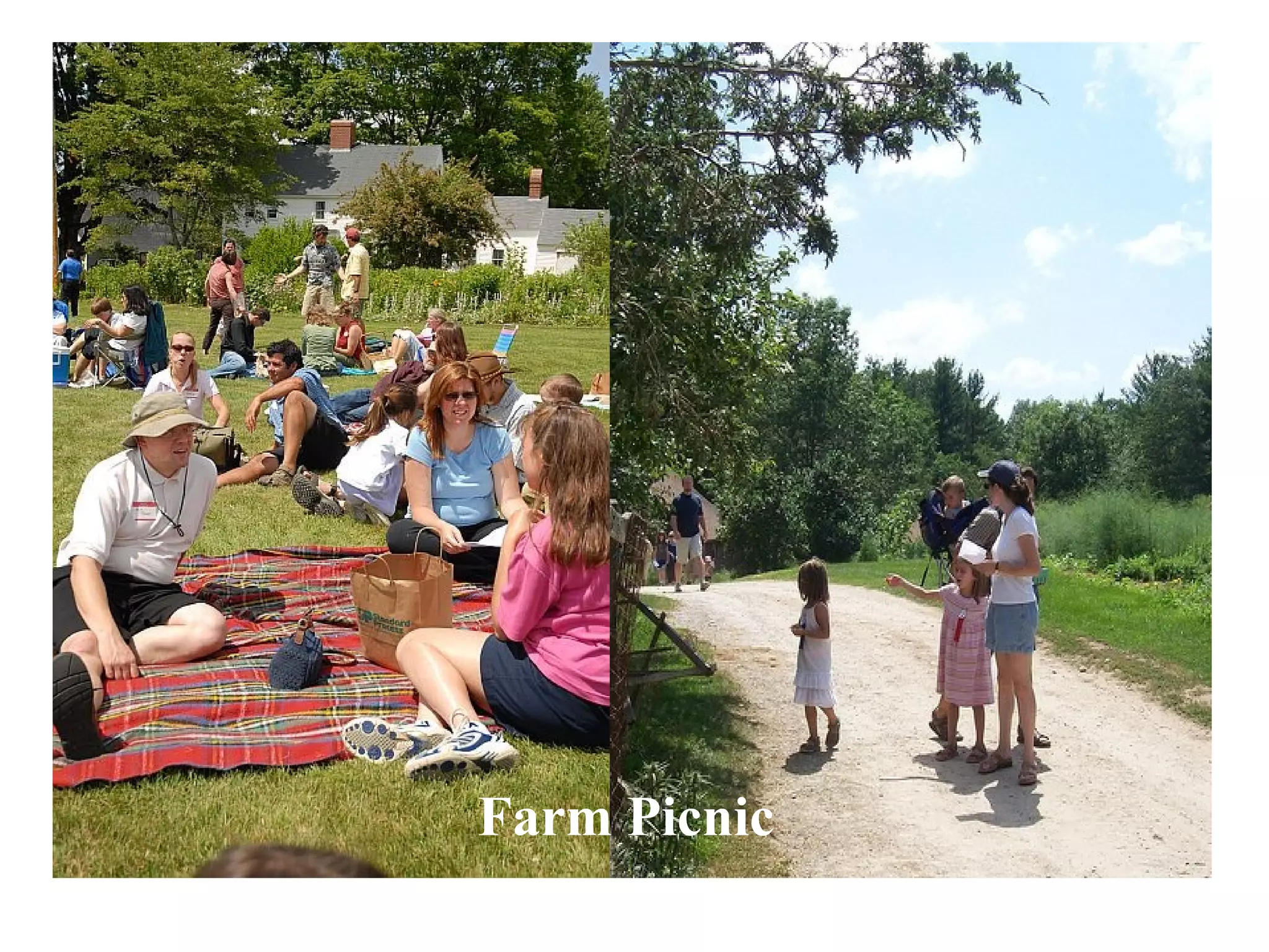 Farm Picnic