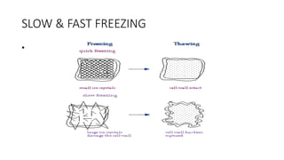 SLOW & FAST FREEZING
•
 