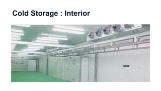Cold Storage : Interior
 