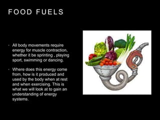 F O O D F U E L S
• All body movements require
energy for muscle contraction,
whether it be sprinting , playing
sport, swimming or dancing.
• Where does this energy come
from, how is it produced and
used by the body when at rest
and when exercising. This is
what we will look at to gain an
understanding of energy
systems.
 